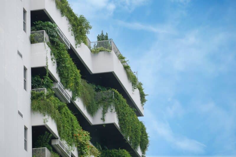 Jardim vertical: o guia completo para montar uma parede verde gastando pouco